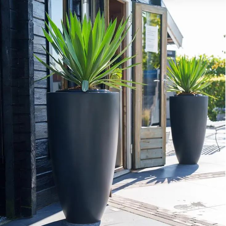 Pflanzkübel Canna
